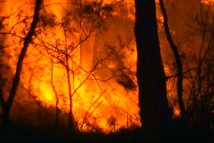 澳洲雪梨近郊大火 燒毀10平方公里林地