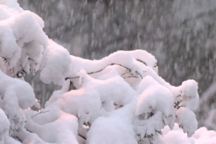 下雪了！ 美國南方墨西哥北部成銀白世界