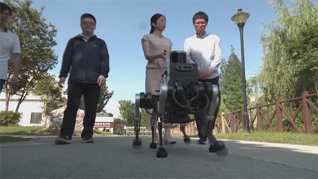 中國上海交大研發「6腳機器導盲犬」　有望量產造福視障者