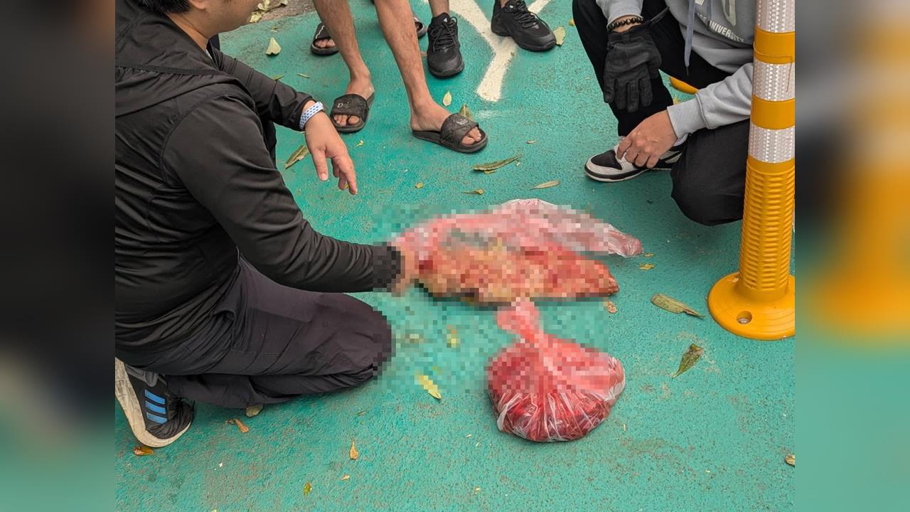 快新聞／越南逃逸移工疑販賣狗肉　白鼻心、山豬也慘遭「毒手」