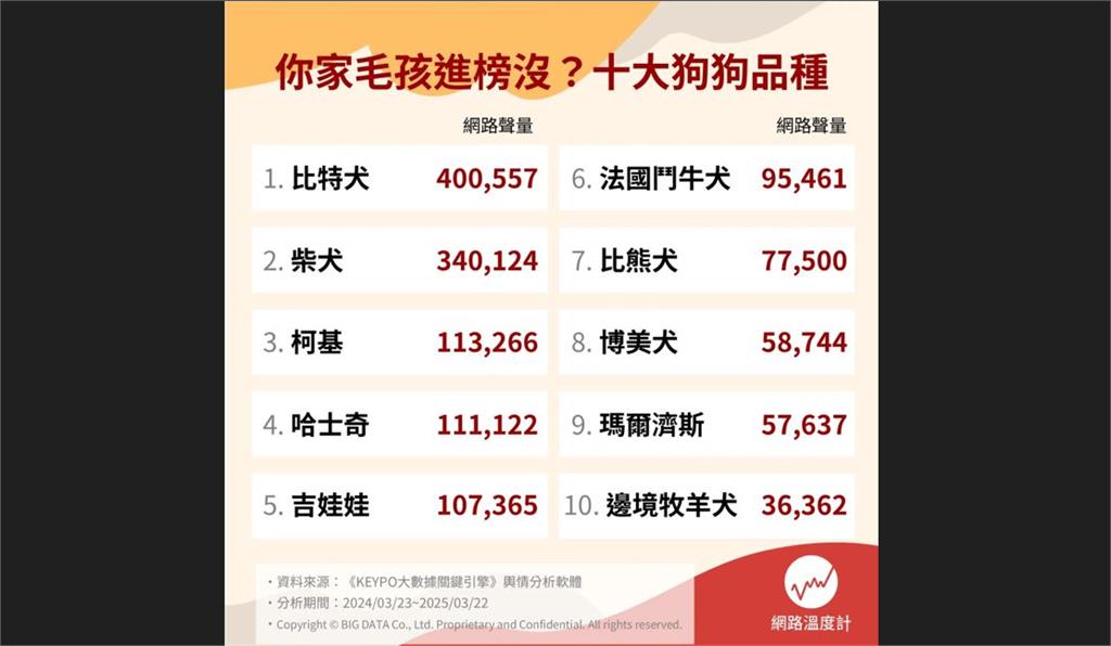  十大犬種網路聲量PK！法鬥、柯基、瑪爾濟斯...你家毛孩進榜了嗎？ 