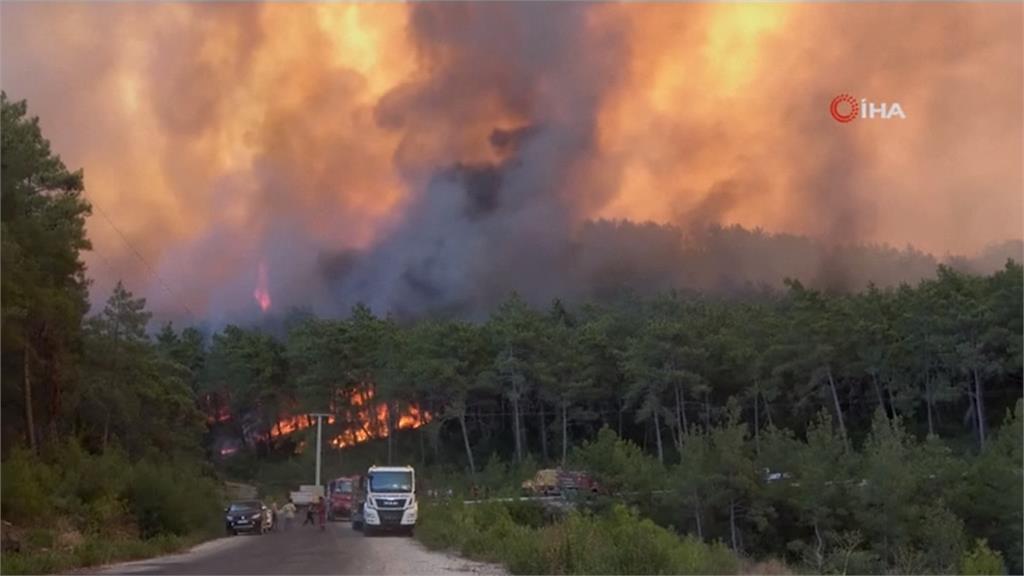 土耳其共98處森林野火　目前累計6人死亡