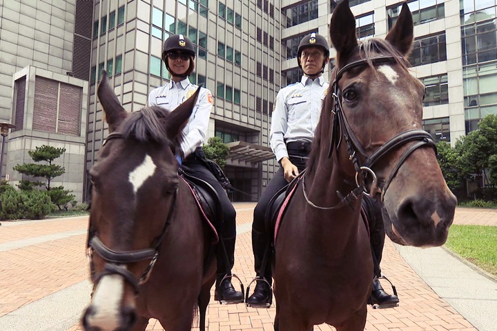 試辦騎警隊? 柯文哲:馬大便讓人抓狂