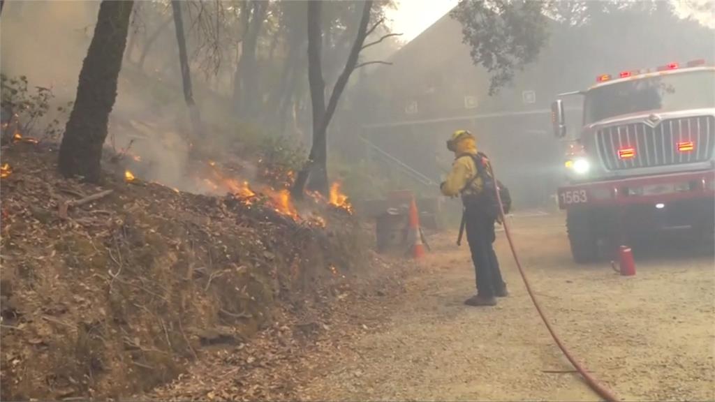 美加州森林野火 延燒面積達2/3北市大