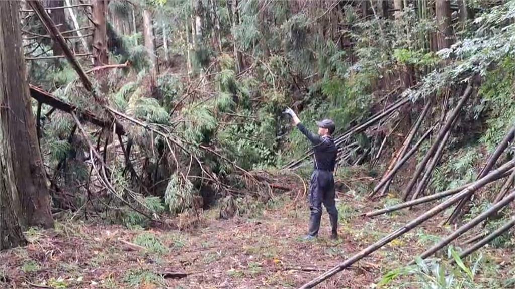 法治村4獵人打獵失聯！　搜救隊徒步挺進入山救援
