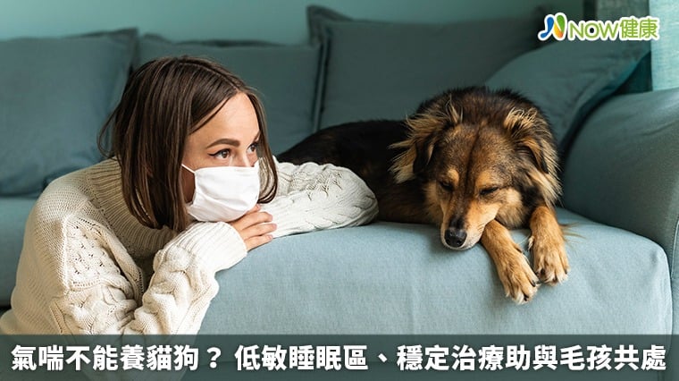 氣喘不能養貓狗？ 低敏睡眠區、穩定治療助與毛孩共處