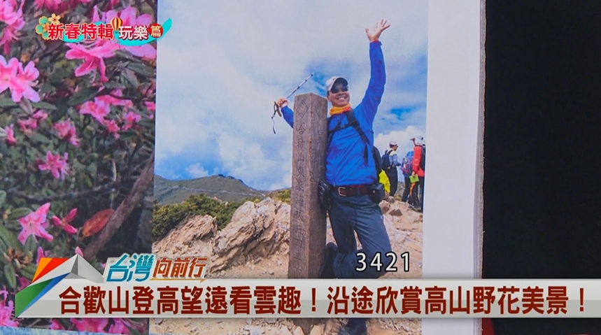 向前行(影)／想看合歡山杜鵑花美景嗎？資深導遊林龍：要有能耐！