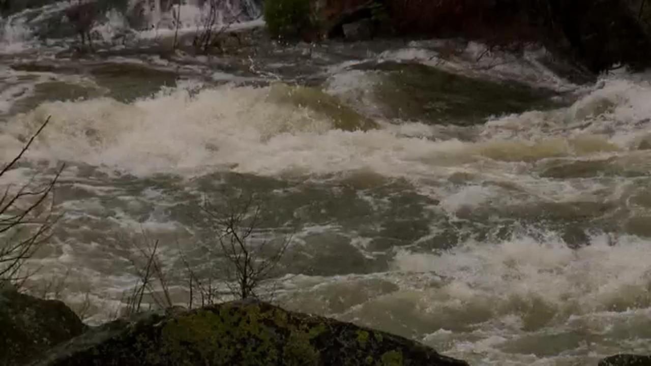 暴雨侵襲北加州！　9人受困河邊民宿　民眾忙堆沙包、清街道