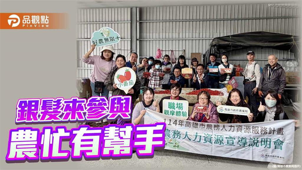 銀髮走入田間補人力　高市農業局媒合小番茄採收包裝