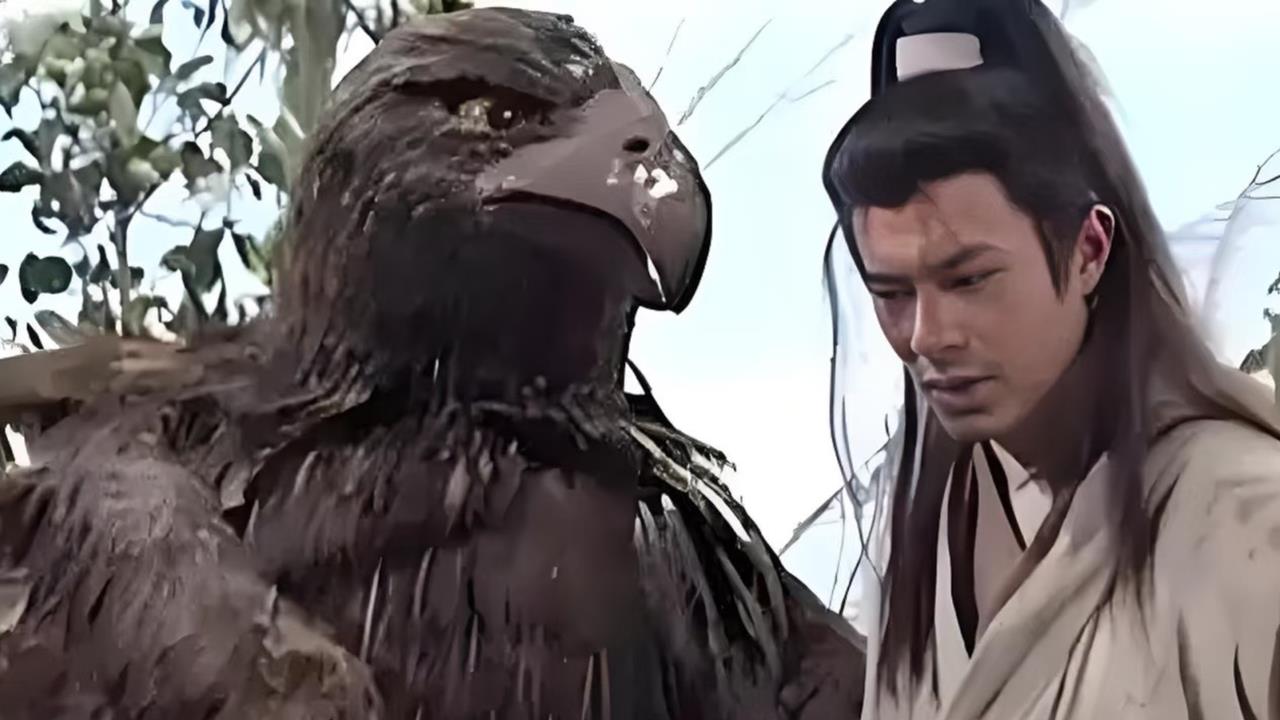 神鵰現身？國道驚見「巨鳥」霸氣橫穿馬路！網狂call楊過：你的鵰跑出來啦