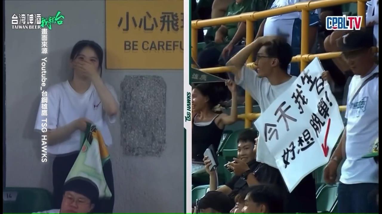 浪漫插曲!球迷高舉「求脫單」看板 中職鏡頭神助攻