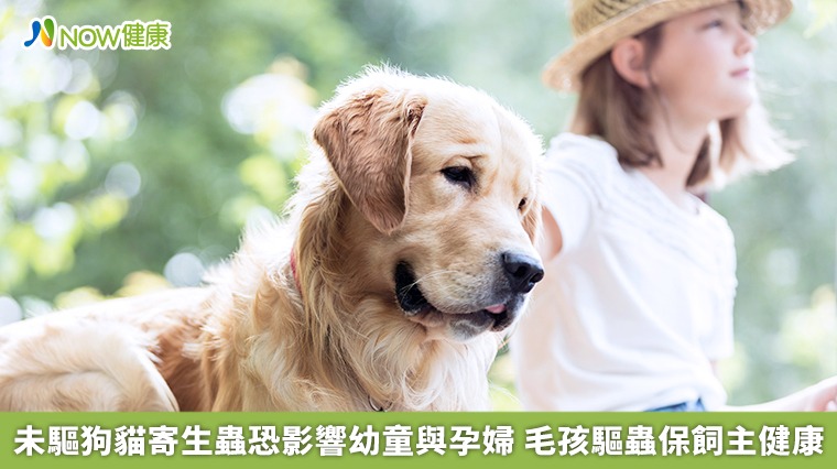 未驅狗貓寄生蟲恐影響幼童與孕婦　毛孩驅蟲保飼主健康