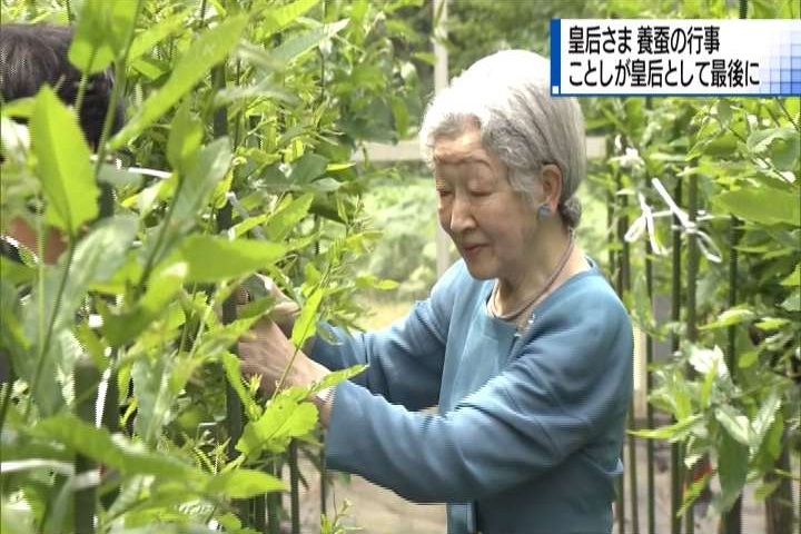 明仁天皇將退位 皇后美智子最後一次養蠶