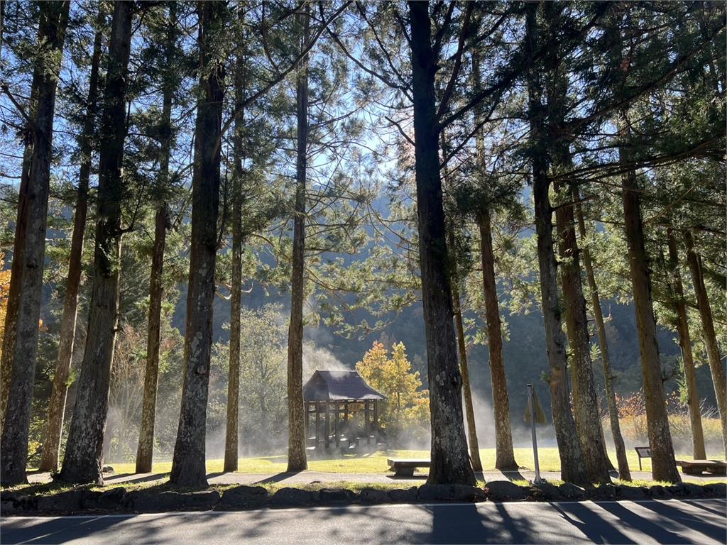 武陵農場「限定仙境美景」登場！　白霜融化成陣陣白煙如夢似幻