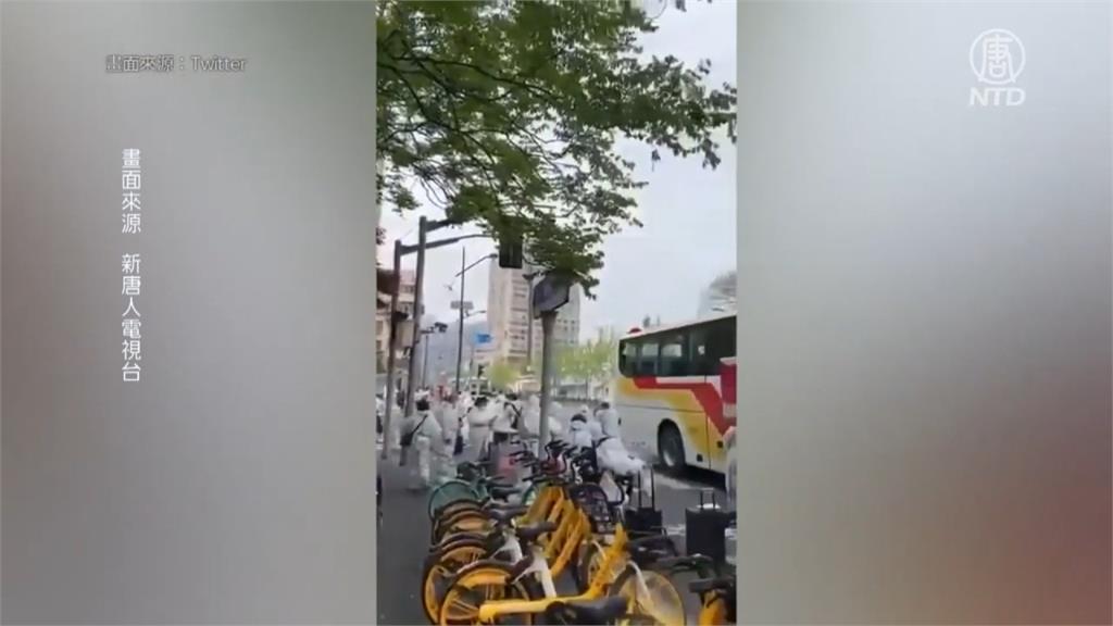 上海拚復工又爆群聚　調查：近半外國人想離開