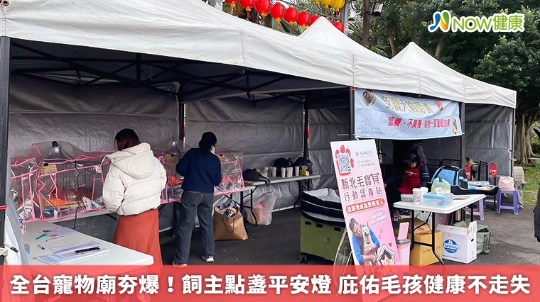 全台寵物廟夯爆!飼主點盞平安燈 庇佑毛孩健康不走失