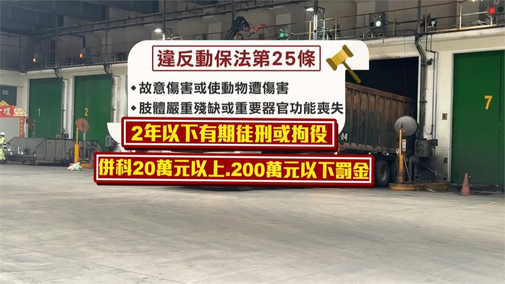 垃圾車輾斃焚化爐看門狗後「肇逃」　司機辯：有看到但閃不過