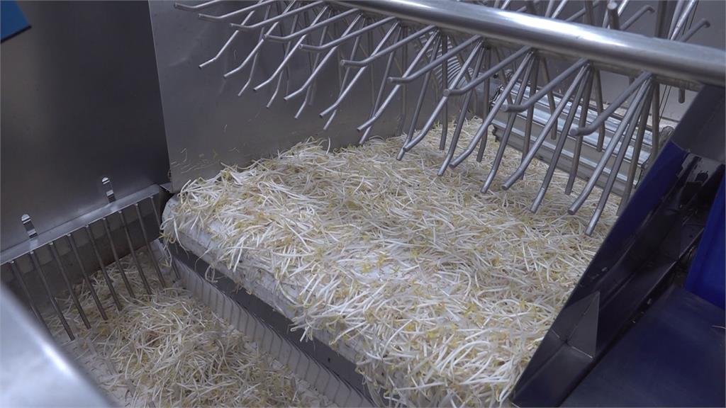 延續老家「豆芽庄」傳統　孵出第1包產銷履歷豆芽菜