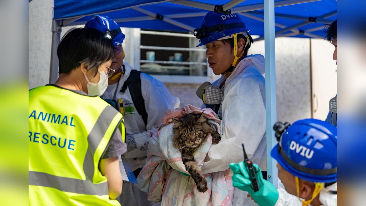 快新聞/港警動員600名特殊人力救援 單親媽媽淚訴「買樓、維修費花光畢生積蓄」