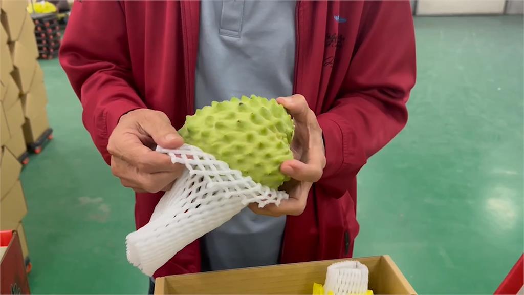 農會引進空壓槍驅介殼蟲 防止中國再找釋迦的碴