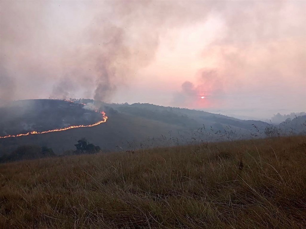 火氣球墜落引發火災　毀聖保羅州立公園逾半面積
