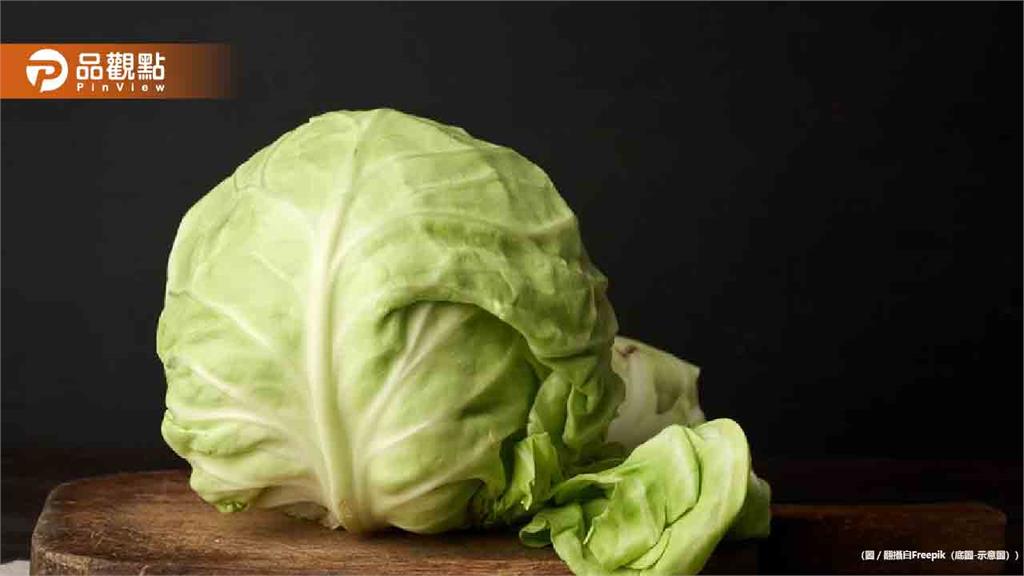 日農夫說高麗菜不用一片一片洗？專家搖頭：台灣人不要學