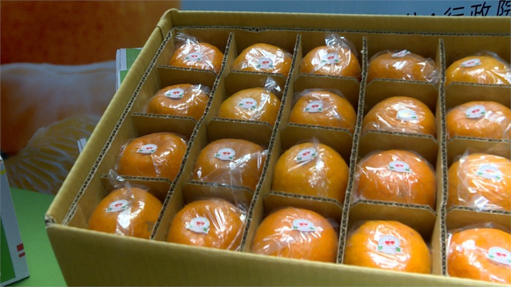 2020年首批柑橘外銷！進軍香港封櫃啟航