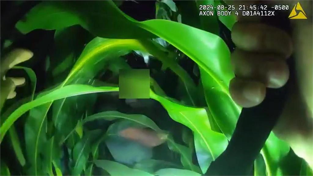 地太大！美國威斯康辛州3歲男童玉米田走失…警出動「1神器」找回來了