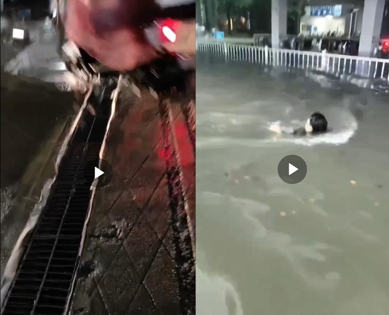 快新聞／中國廣東佛山暴雨「汽車水上漂」　禍首竟指向這項屈公病「防蚊」措施