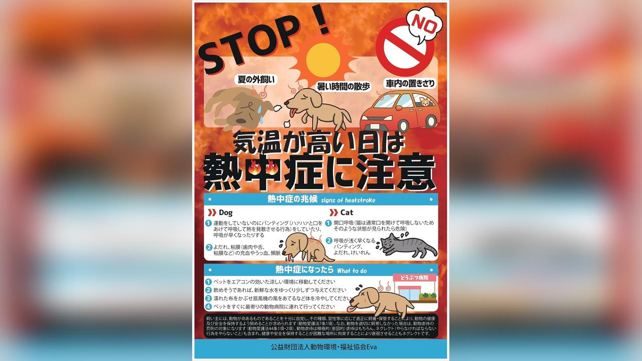 寵物也搭消暑商機 家電廠推「溫度監測」﹑服飾業推量感服飾