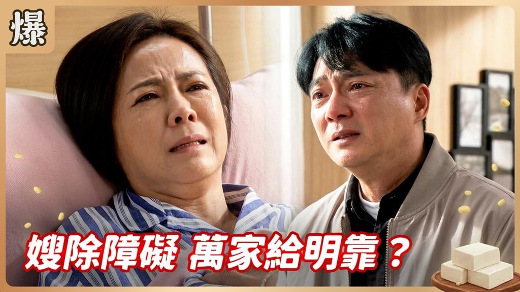 老婆失去子宮真的好恨！最強復仇計劃一觸即發？《豆腐媽媽-EP52精彩片段》