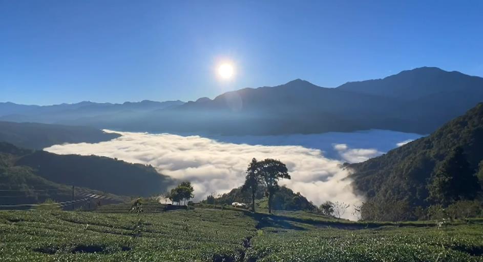 放鬆好去處！體驗"雲中打盹" 武界雲海如牛奶鍋