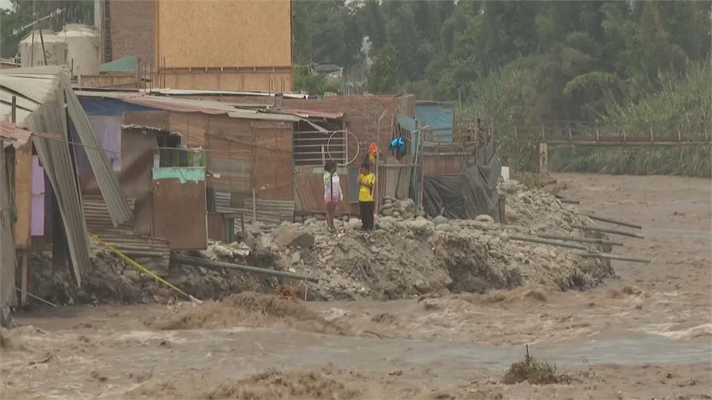 熱帶氣旋席捲秘魯　洪水沖毀29棟房！小豬載浮載沉獲幸運救