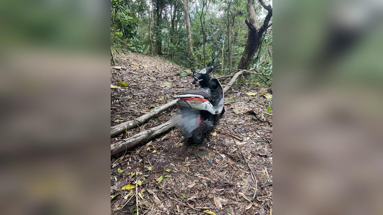快新聞／高雄驚傳命案！六龜山區竟爆「頭顱白骨」散落　警方證實了：發現遺體
