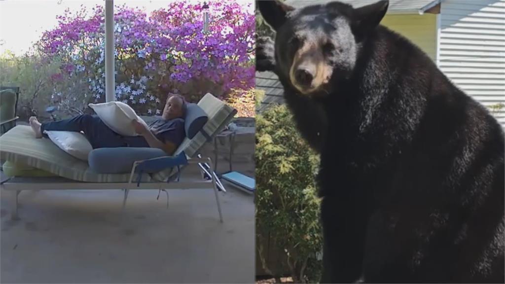 嚇傻了！男躺椅耍廢驚見黑熊出沒　「與牠對看3秒」意外結局曝