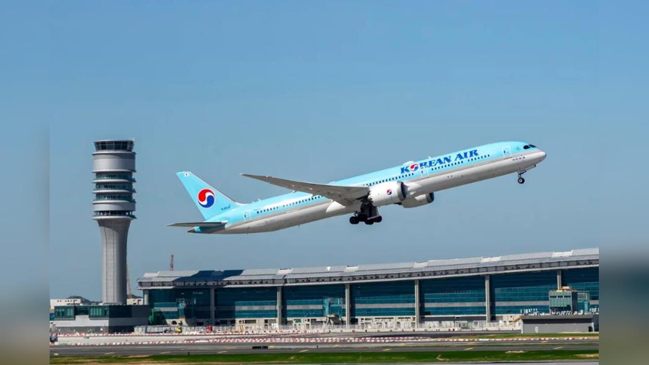 大韓航空包機飛往美國　接回遭拘留韓國工人