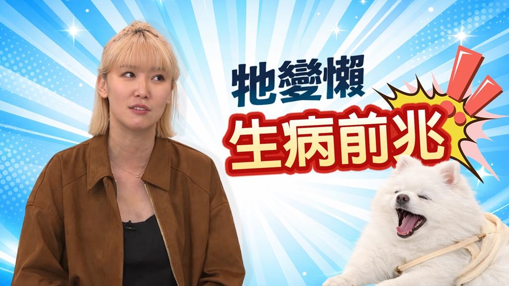 李懿《醫學大聯盟》狗狗「伸懶腰」不動？醫揭：非舒展而是腸胃劇痛！ 