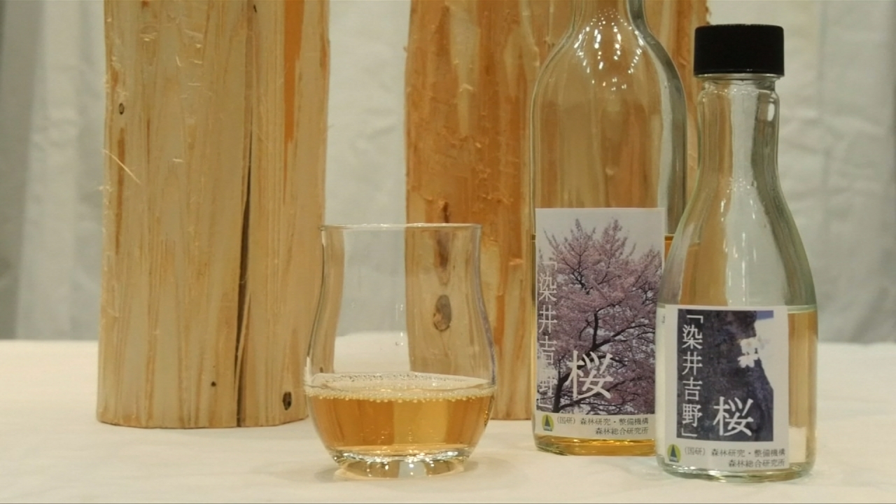 只要10天就完成！日本研發「樹木釀的酒」