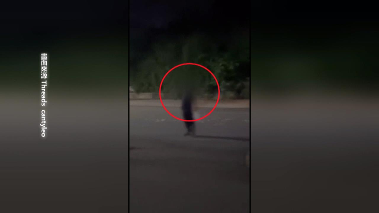 男抱遺照撒金紙「勸世」　 學生氣到與怪男爆口角