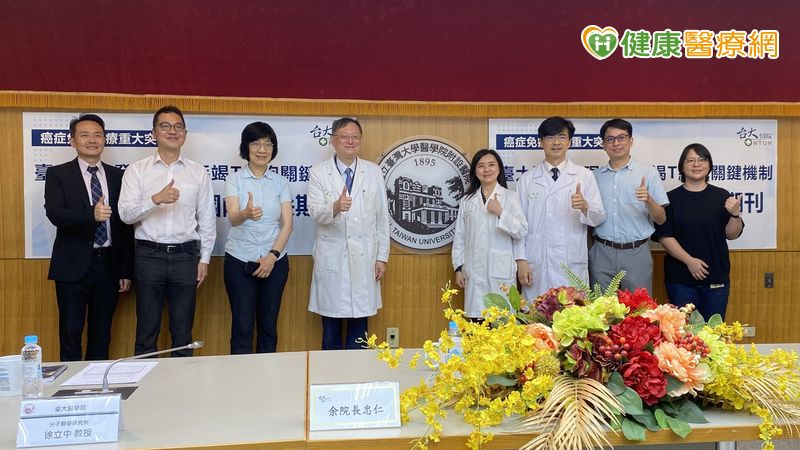 免疫治療效果不如預期?醫:與「T細胞耗竭」有關 臺大研究揭1關鍵機制