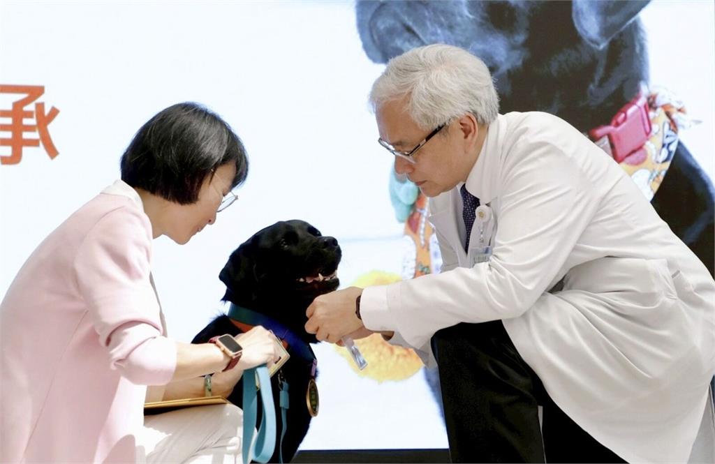 全台第一隻醫療犬「歐巴」退休！安寧病房最暖送行者  北榮百人歡送