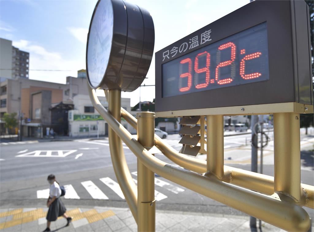 高溫！香川獼猴「冷水澡」消暑　日本單週逾3900人中暑送醫