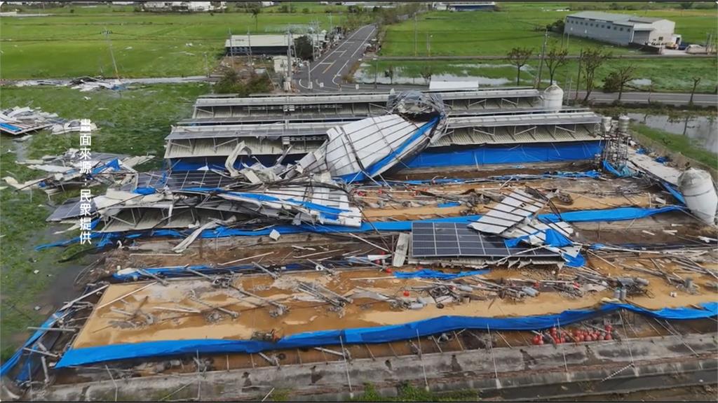 嘉縣畜牧場屋頂被掀翻 三百頭牛隻倖存「無牛逃跑」