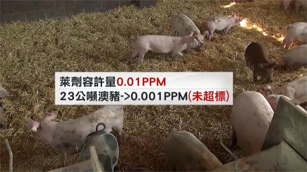 澳洲進口23公噸豬肉　首度驗出萊克多巴胺0.001ppm