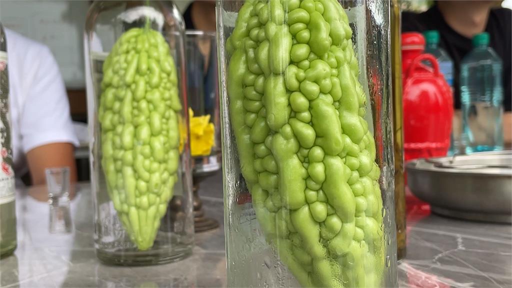 先有苦瓜再有酒瓶？　金門苦瓜酒「塞瓶秘辛」曝光