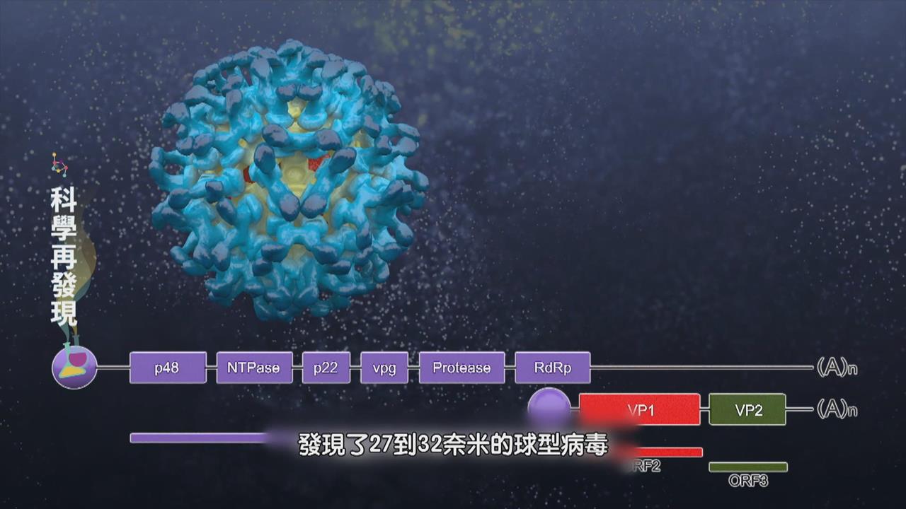 腸胃流感的抗爭　諾羅病毒不可輕忽！