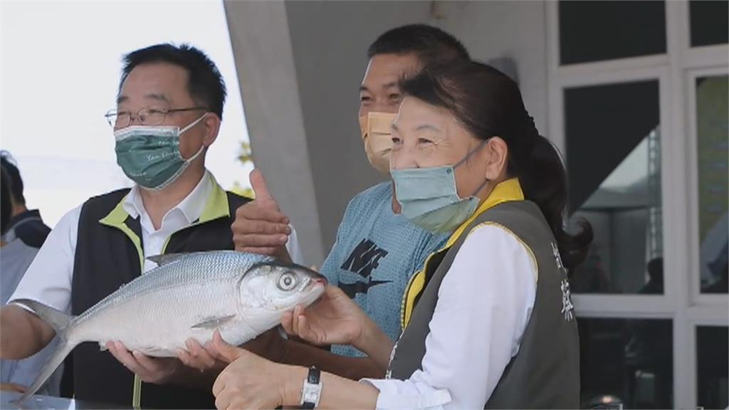 首屆虱目魚選美　冠軍「虱貴妃」BMI7.3最肥美