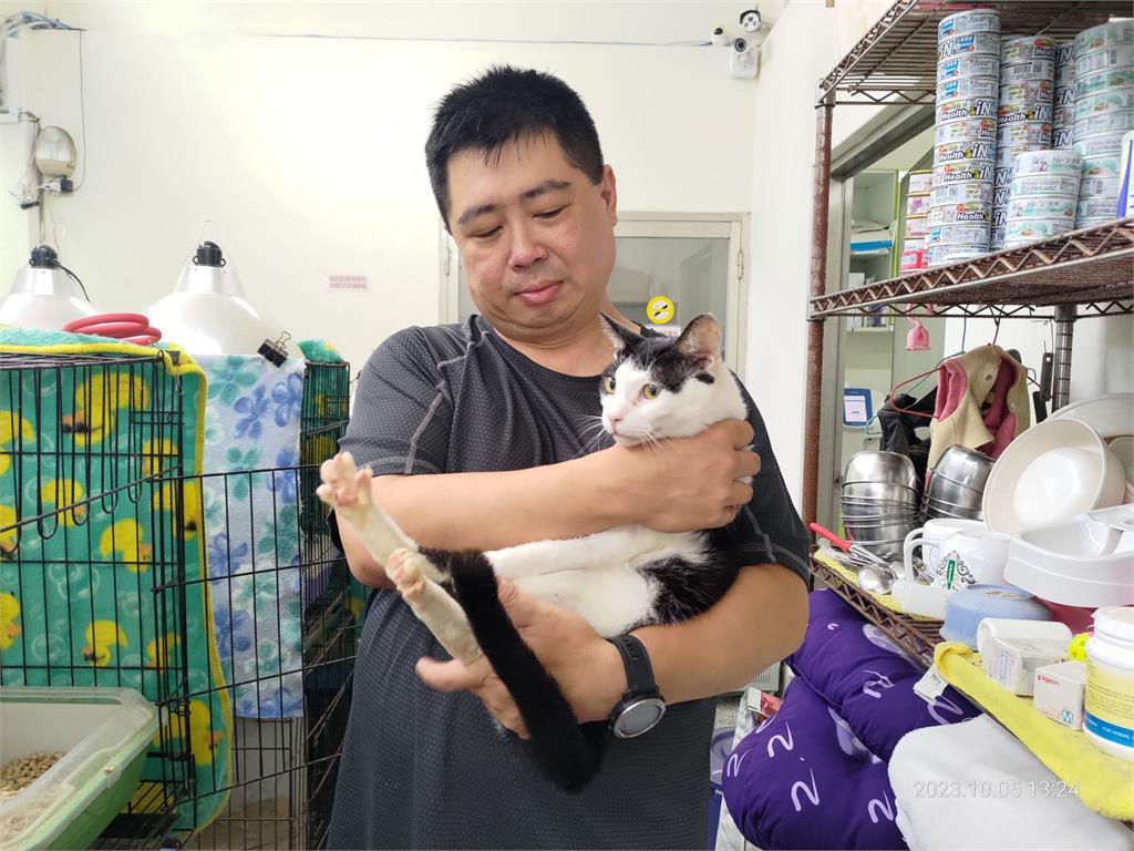 快新聞／新竹女飼主+28隻貓犬遭動保所丟包基隆！　基市府怒批竹縣府公務員幫兇