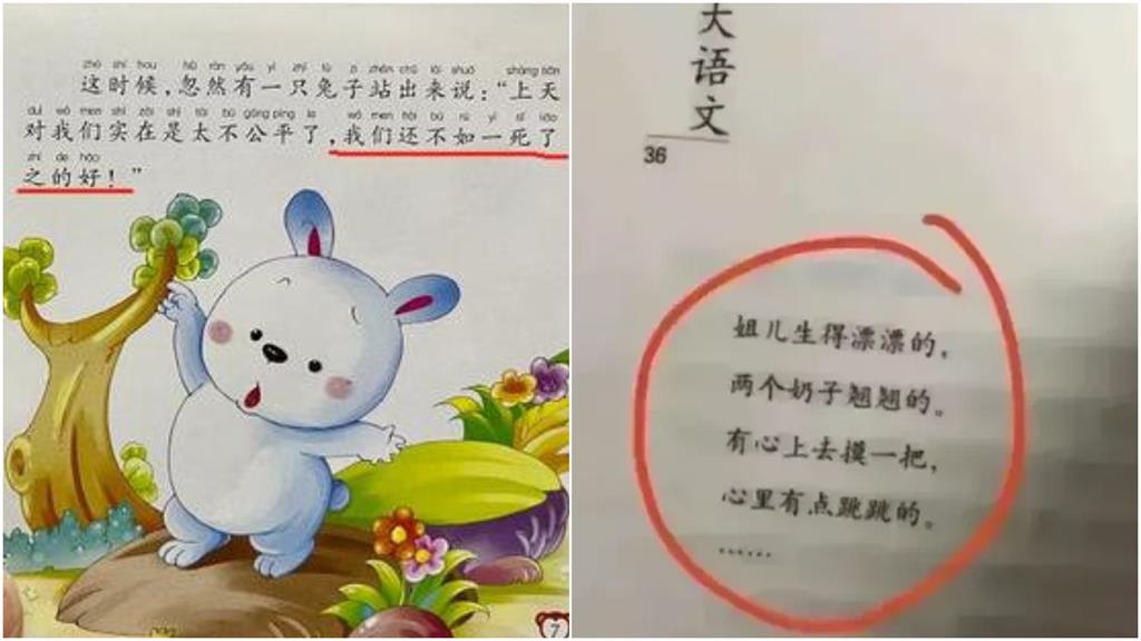 中國兒童讀物又出包？內容驚見「兔子跳湖」、「露骨民歌」　網轟：教育界該查