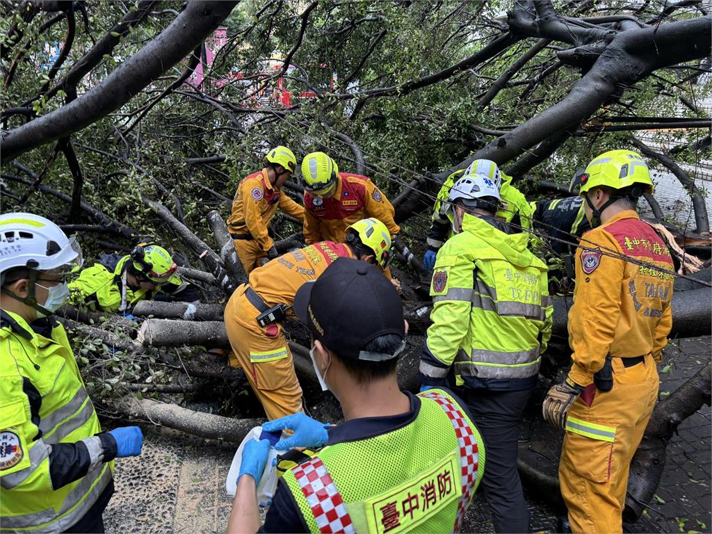 快新聞／最新！逢甲男大生遭路樹重壓亡　親友哭斷腸